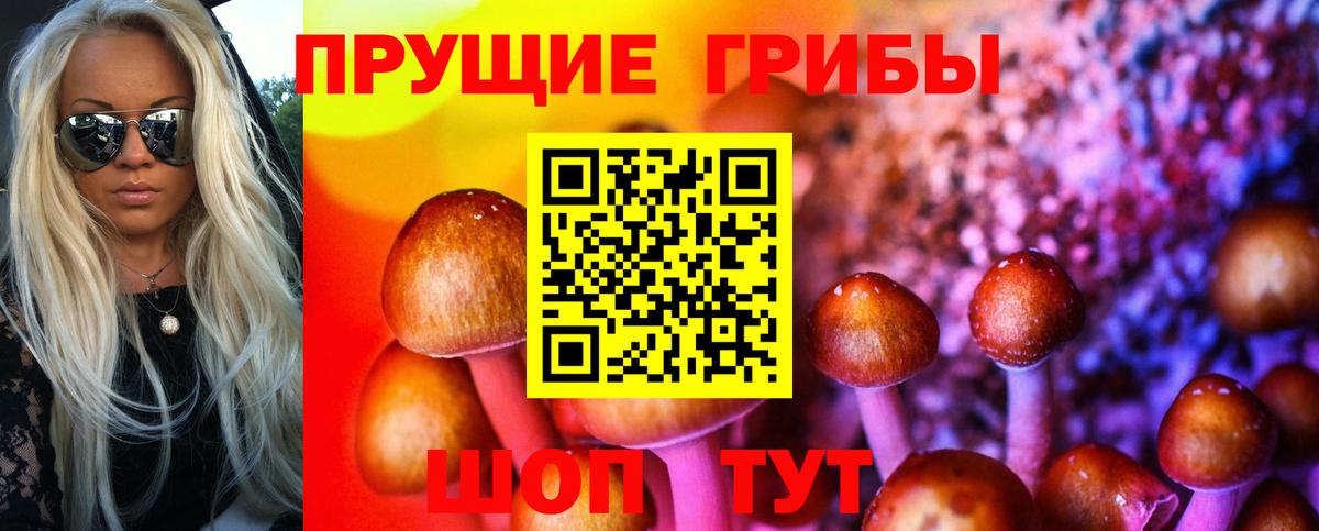 Псилоцибиновые грибы Psilocybine cubensis  Вход с VPN  Ишимбай  наркота  Псилоцибиновые грибы Cubensis 
